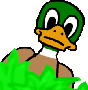 Ente